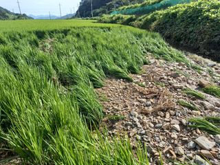 이민규님의 팜모닝 · 출석 작성글 사진