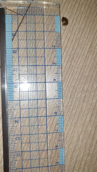 양파12386님의 귤 · 병해충상담 작성글 사진