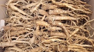 조병대님의 자유주제 · 자유게시판 작성글 사진