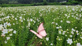 조병대님의 자유주제 · 자유게시판 작성글 사진