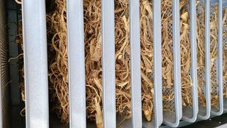 조병대님의 자유주제 · 자유게시판 작성글 사진