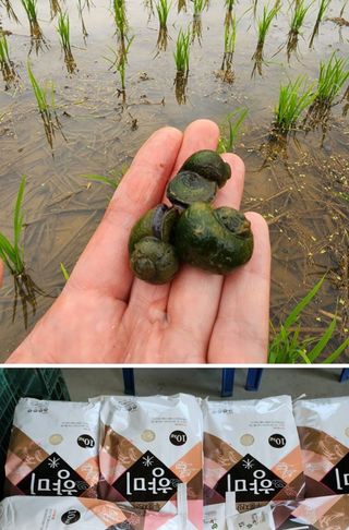 농부 임성훈님의 장터이야기 · 자유게시판 작성글 사진