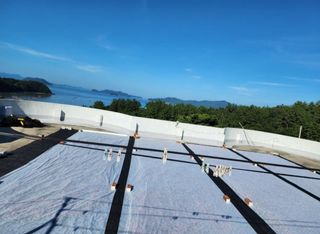 고추농사 정 미라님의 농사, 무엇이든 물어보세요! · 참여글 작성글 사진