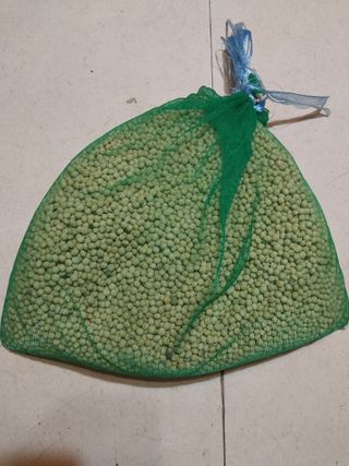 올리브 농장님의 콩 · 자유게시판 작성글 사진