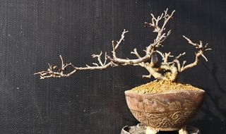 이정운님의 기타작물 · 자유게시판 작성글 사진