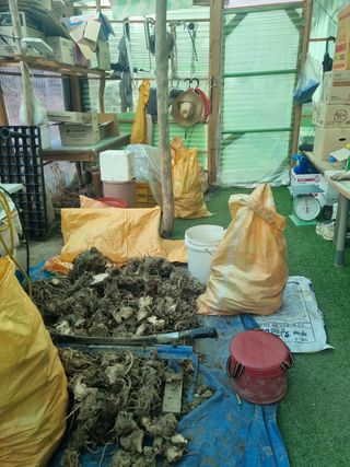 이호성님의 자유주제 · 자유게시판 작성글 사진