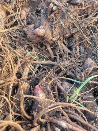 이호성님의 자유주제 · 자유게시판 작성글 사진