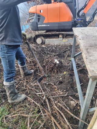 이호성님의 자유주제 · 자유게시판 작성글 사진