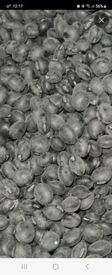 팜모닝 · 게시글 이미지