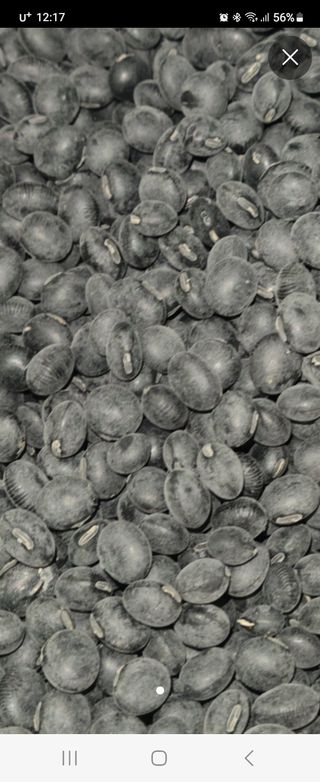 조일현님의 작성글 사진