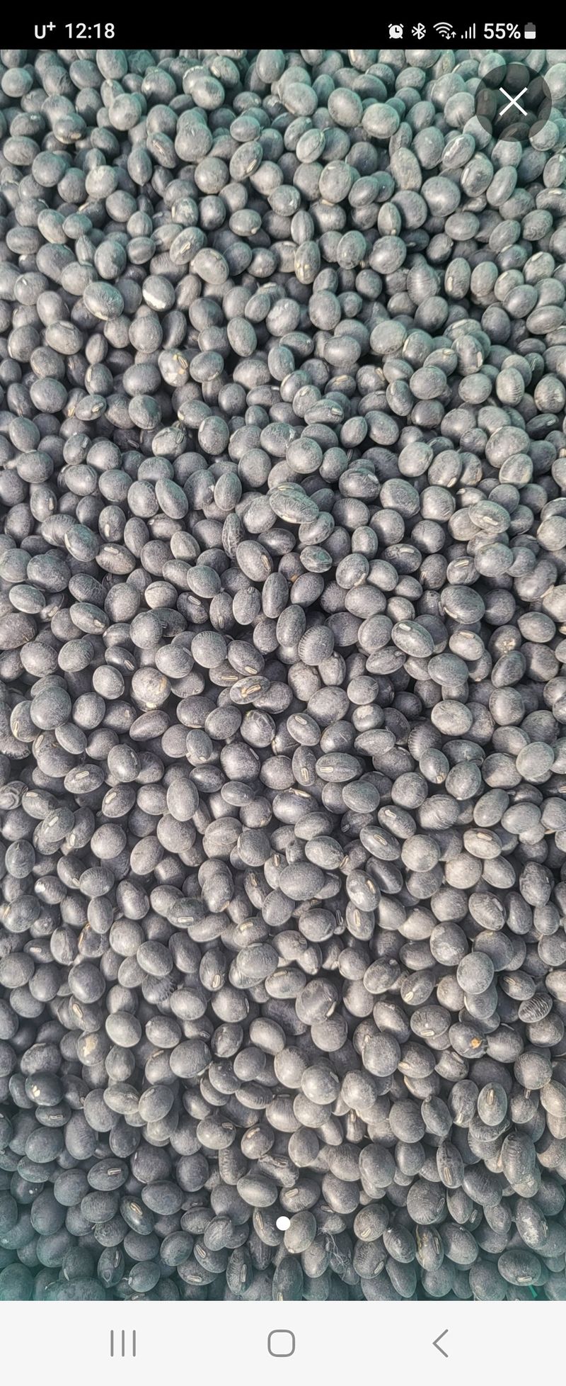 조일현님의 장터 판매 상품 [서리태 넙죽이 1kg] 첨부 사진