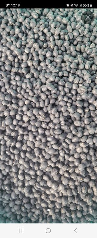 조일현님의 작성글 사진