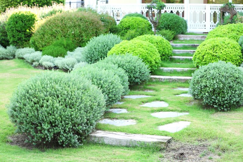 이선미님의 장터 판매 상품 [기능성 화분재배 성공 비법[전자책, 종이책]] 첨부 사진