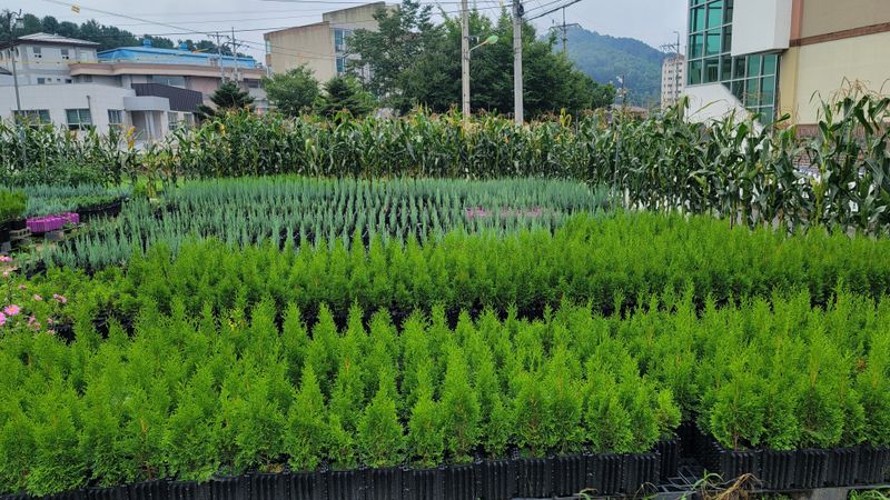 이선미님의 장터 판매 상품 [기능성 화분재배 성공 비법[전자책, 종이책]] 첨부 사진