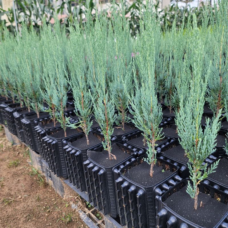 이선미님의 장터 판매 상품 [기능성 화분재배 성공 비법[전자책, 종이책]] 첨부 사진