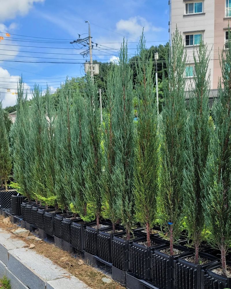 이선미님의 장터 판매 상품 [기능성 화분재배 성공 비법[전자책, 종이책]] 첨부 사진