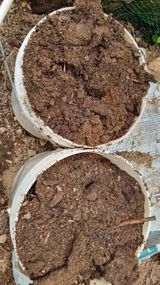 팜모닝 1월 내 작물 자랑하기·참여글 게시글 이미지