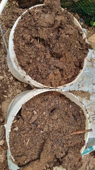 전상조님의 1월 내 작물 자랑하기 · 참여글 작성글 사진