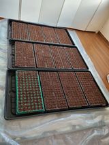 팜모닝 1월 내 작물 자랑하기·참여글 게시글 이미지