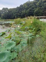 팜모닝 1월 내 작물 자랑하기·참여글 게시글 이미지