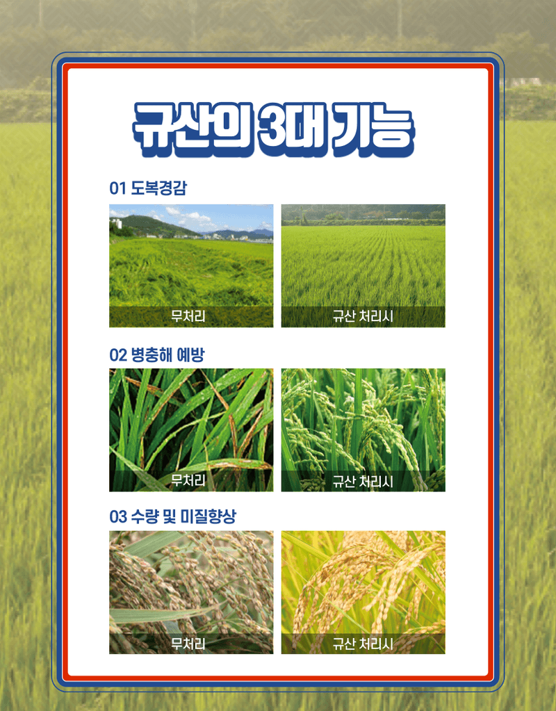 대산농사대장님의 장터 판매 상품 [논에퐁에코  발포확산성 던지는 규산 ] 첨부 사진