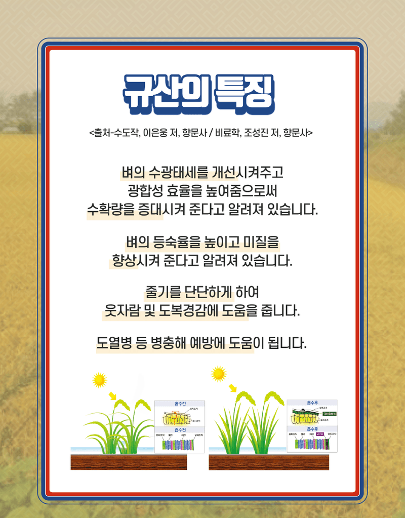 대산농사대장님의 장터 판매 상품 [논에퐁에코  발포확산성 던지는 규산 ] 첨부 사진