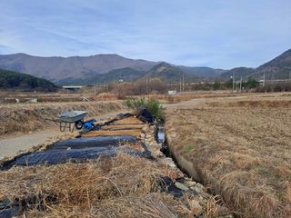 가리온팜 님의 1월 내 작물 자랑하기 · 참여글 작성글 사진