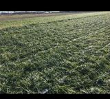 팜모닝 1월 내 작물 자랑하기·참여글 게시글 이미지