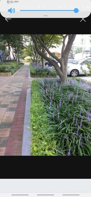 이은화님의 1월 내 작물 자랑하기 · 참여글 작성글 사진