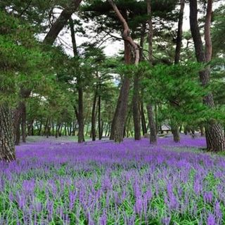 이은화님의 1월 내 작물 자랑하기 · 참여글 작성글 사진