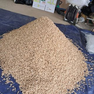 이은화님의 1월 내 작물 자랑하기 · 참여글 작성글 사진