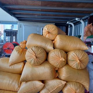 이은화님의 1월 내 작물 자랑하기 · 참여글 작성글 사진