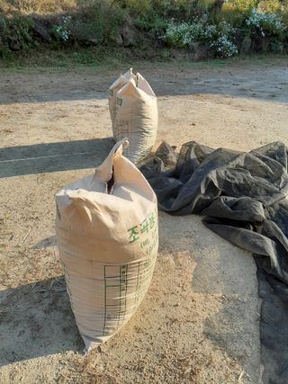 공주카페무릉농원님의 작성글 사진