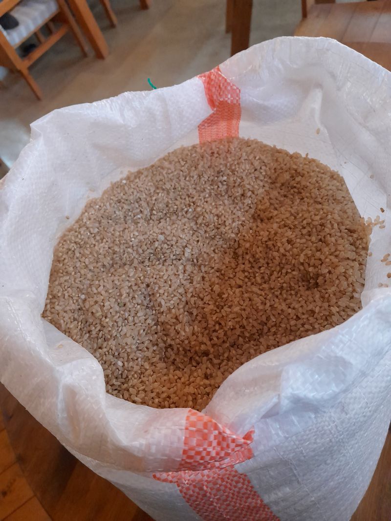 공주카페무릉농원님의 장터 판매 상품 [현미쌀 10키로 판매완료] 첨부 사진