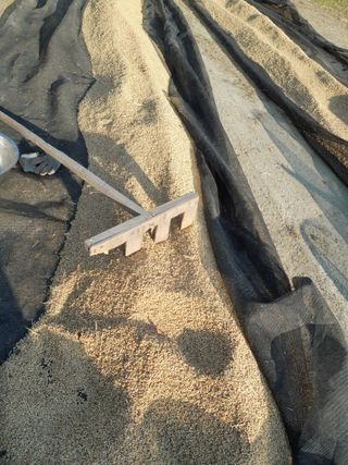 공주카페무릉농원님의 작성글 사진