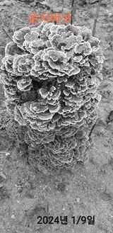 팜모닝 기타작물·자유게시판 게시글 이미지