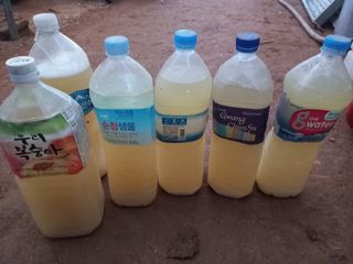 박린님의 고추 · 토양준비 작성글 사진