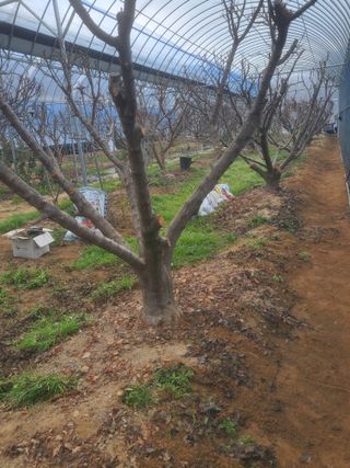 서정훈 님의 하우스정보 · 자유게시판 작성글 사진