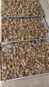 팜모닝 1월 내 작물 자랑하기·참여글 게시글 이미지