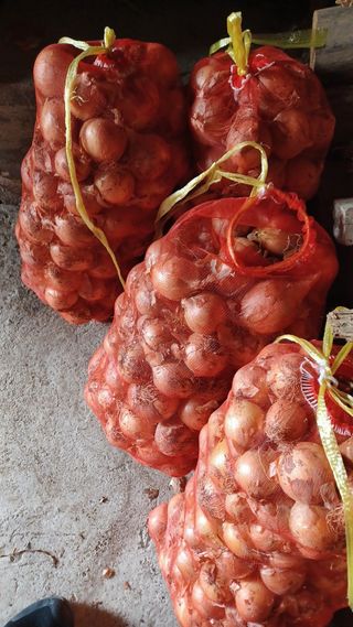 이성수님의 1월 내 작물 자랑하기 · 참여글 작성글 사진