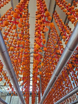 김병돈님의 1월 내 작물 자랑하기 · 참여글 작성글 사진