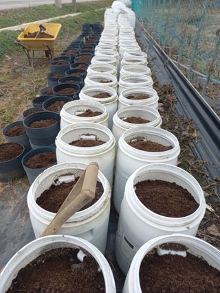 박린님의 기타작물 · 자유게시판 작성글 사진