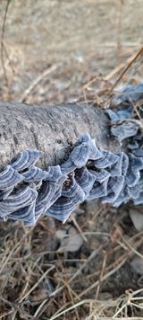 팜모닝 자유주제·자유게시판 게시글 이미지