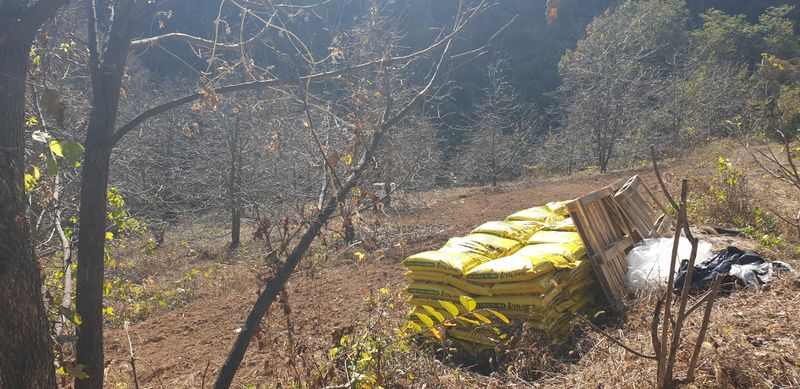 장터 상품 [무농약백태 1kg] 썸네일