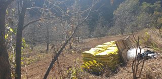 주주농장님의 작성글 사진