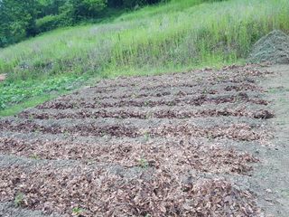 주주농장님의 작성글 사진