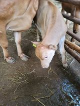 팜모닝 팜모닝·출석 게시글 이미지