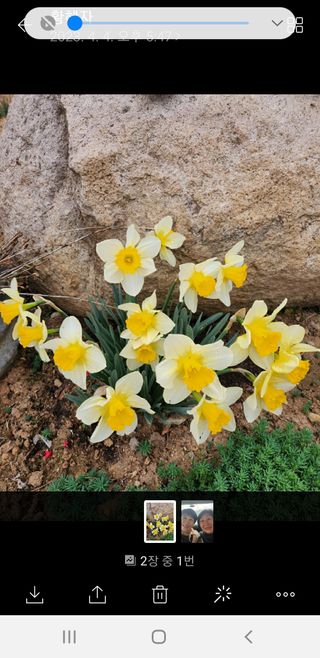 상추17538님의 비활동 회원 알림 · 참여글 작성글 사진