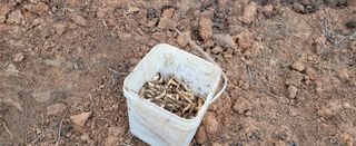 조미숙님의 1월 내 작물 자랑하기 · 참여글 작성글 사진