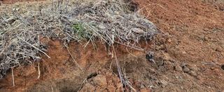 조미숙님의 1월 내 작물 자랑하기 · 참여글 작성글 사진